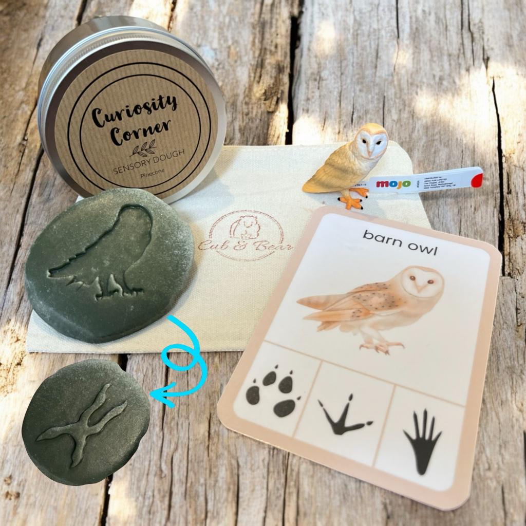 Cub & Bear Discovery Pouch containing Mojo Barn Owl, Curiosity Corner Dough, Yellow Door Let's Investigate stone, & PlayCraftGrow Flashcard