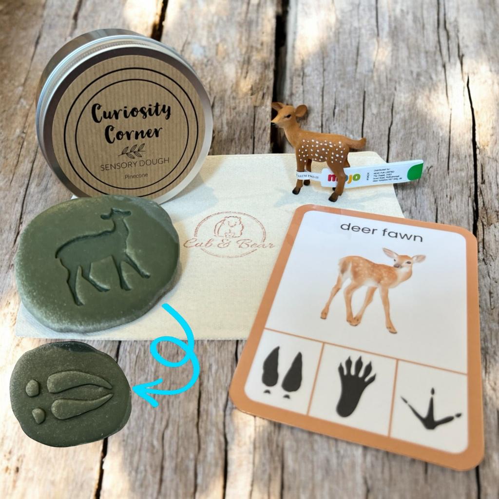 Cub & Bear Discovery Pouch containing Mojo Deer Fawn, Curiosity Corner Dough, Yellow Door Let's Investigate stone, & PlayCraftGrow Flashcard
