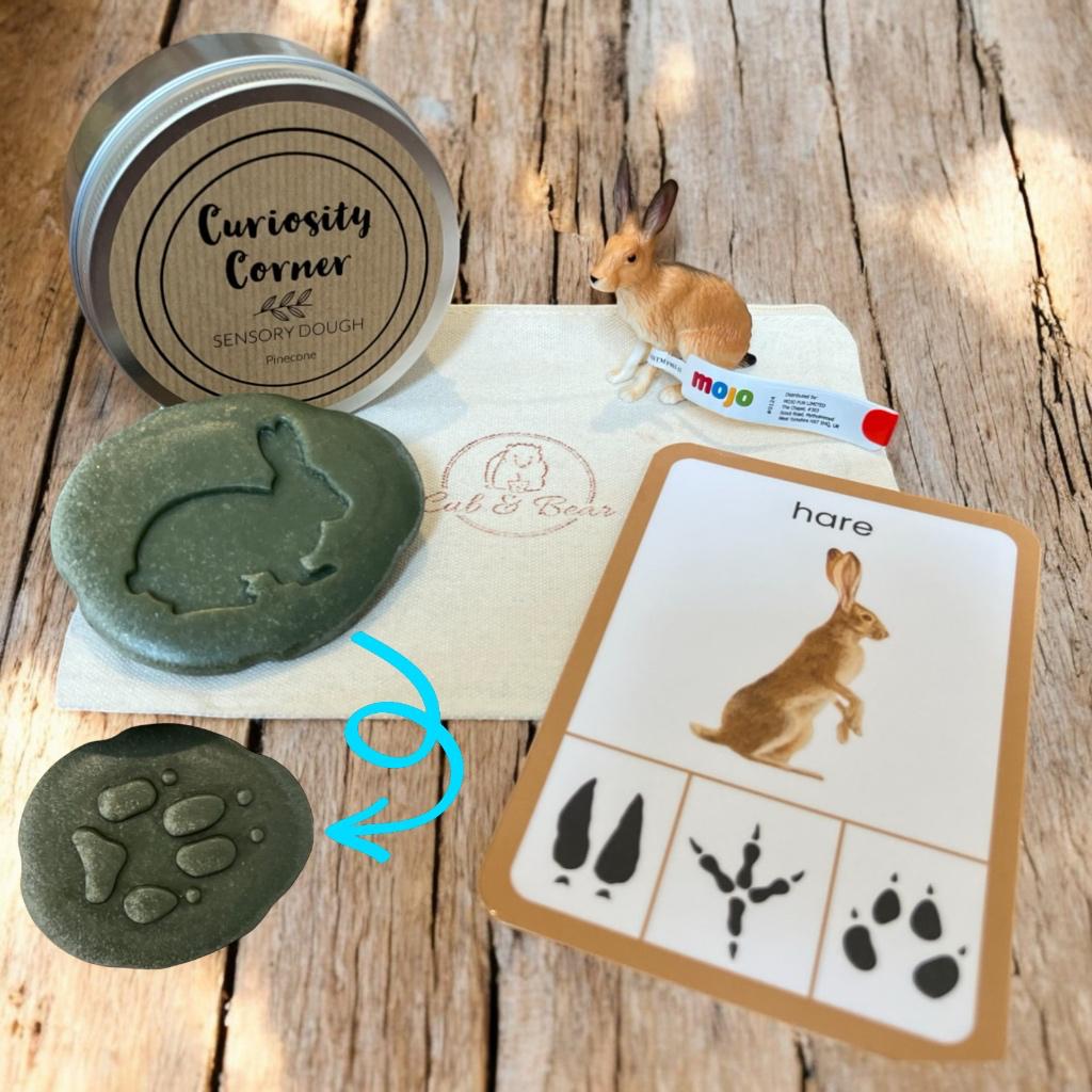 Cub & Bear Discovery Pouch containing Mojo European Hare, Curiosity Corner Dough, Yellow Door Let's Investigate stone, & PlayCraftGrow Flashcard