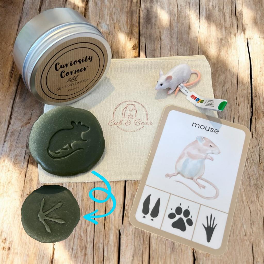 Cub & Bear Discovery Pouch containing Mojo Mouse, Curiosity Corner Dough, Yellow Door Let's Investigate stone, & PlayCraftGrow Flashcard
