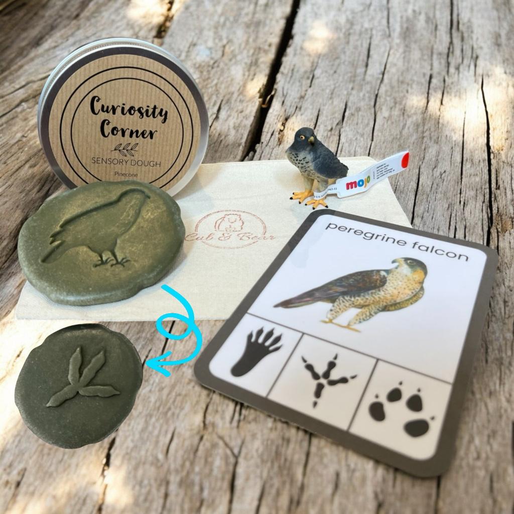 Cub & Bear Discovery Pouch containing Mojo Peregrine Falcon, Curiosity Corner Dough, Yellow Door Let's Investigate stone, & PlayCraftGrow Flashcard