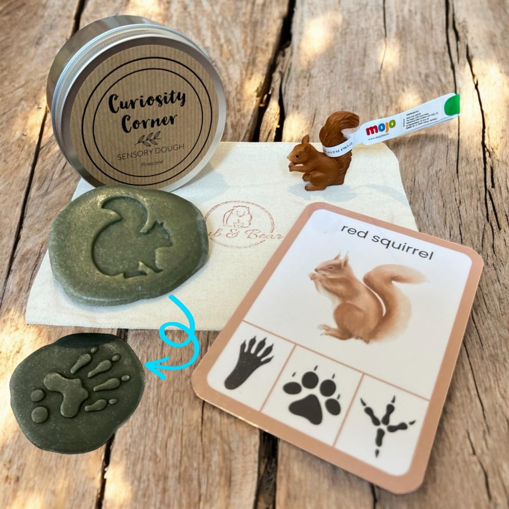 Cub & Bear Discovery Pouch containing Mojo Red Squirrel, Curiosity Corner Dough, Yellow Door Let's Investigate stone, & PlayCraftGrow Flashcard