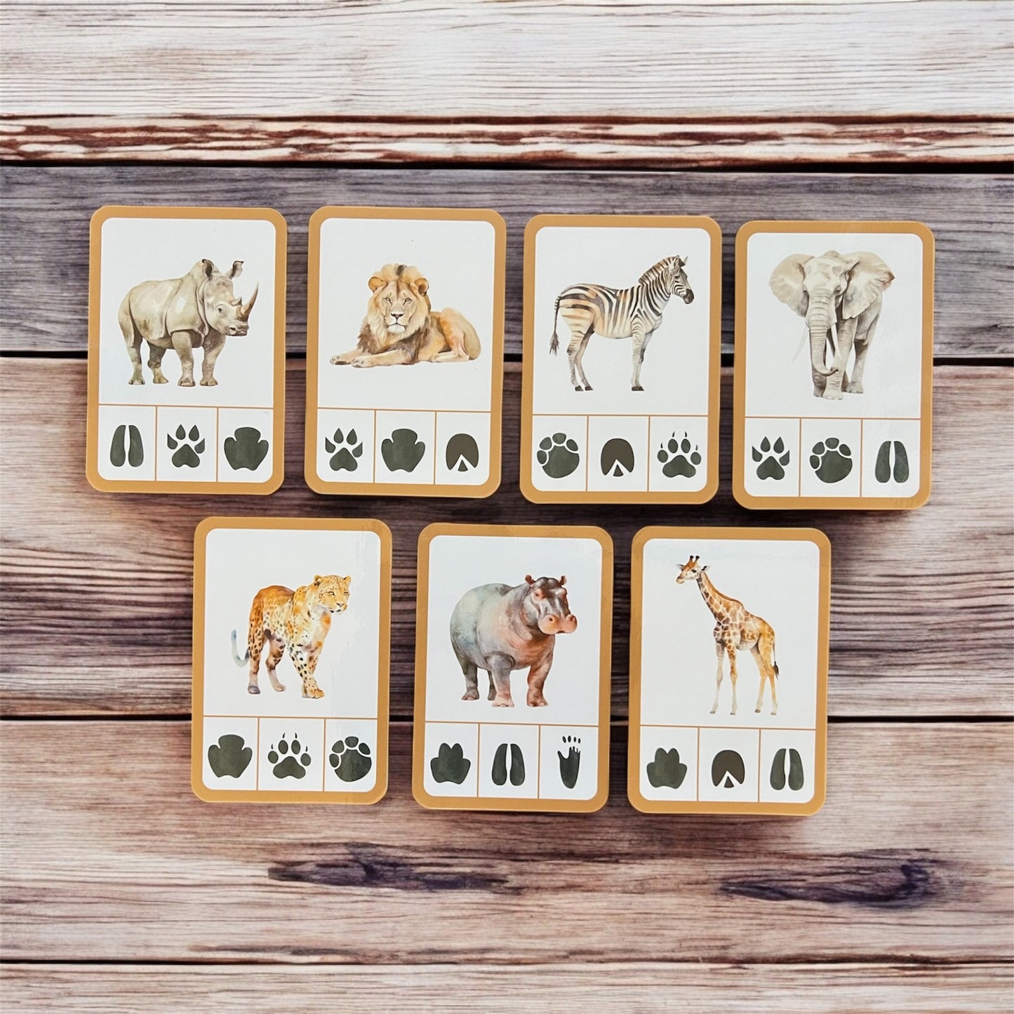 Cub & Bear’s Travel Pouches - Safari Animal Collection