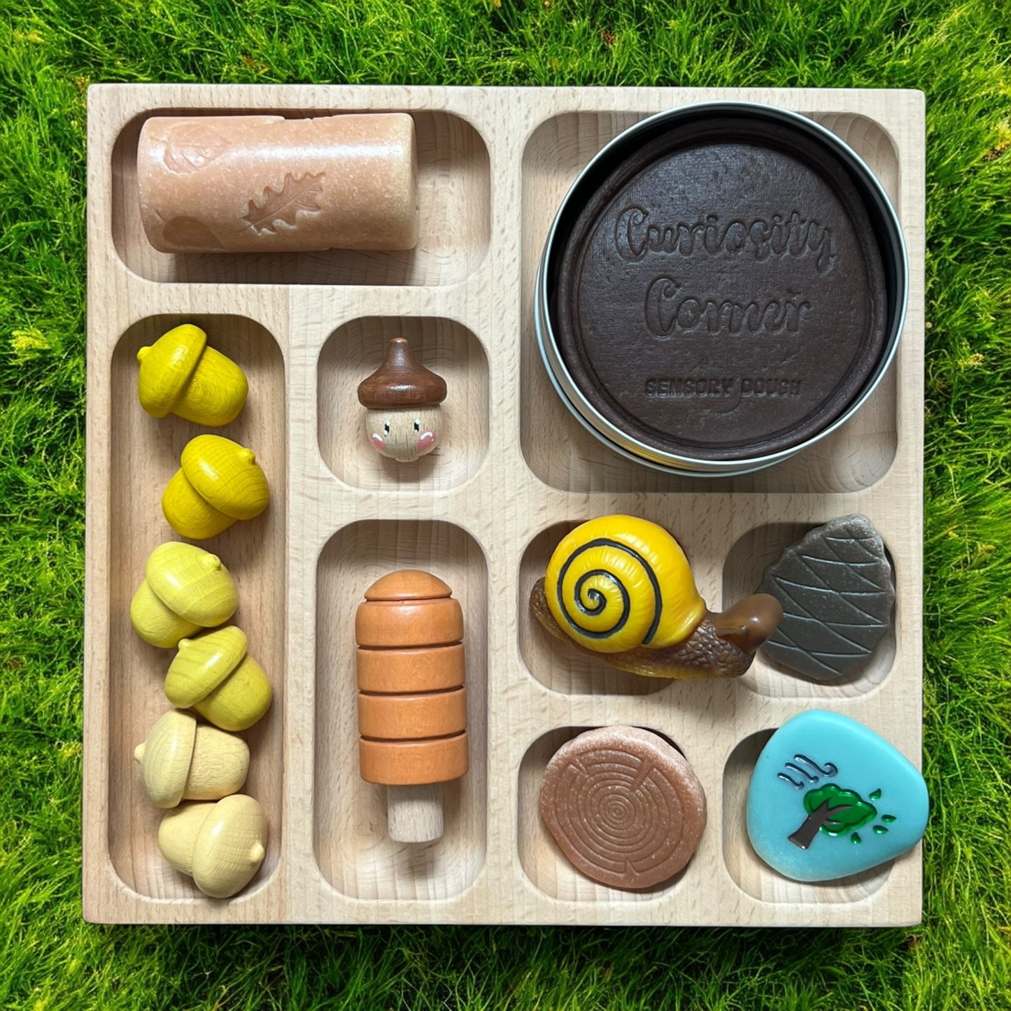 Discover Through Play ~ Mini Beasts Collection