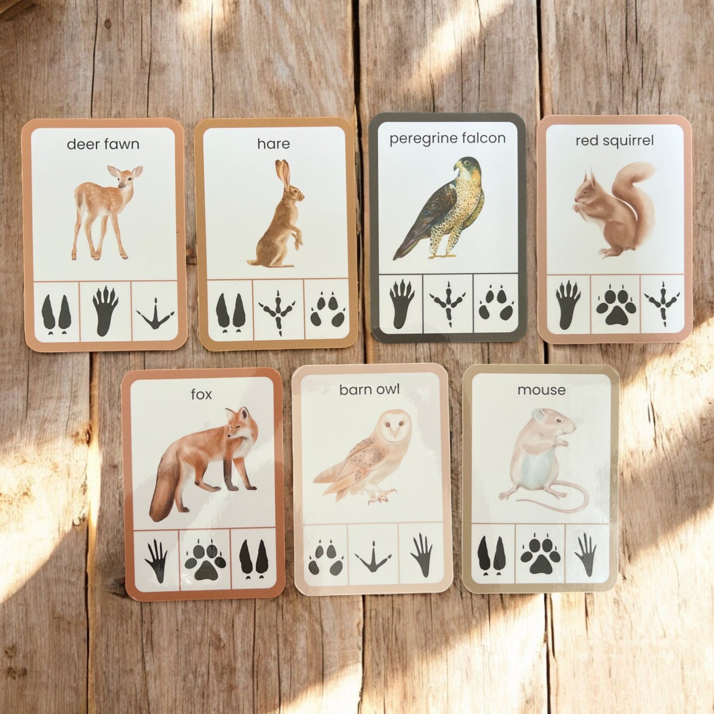 PlayCraftGrow - British Woodland Animals Flashcards for Cub & Bear Discovery Pouches