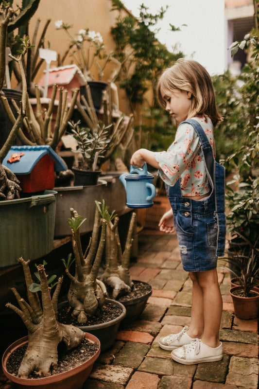 Seasonal Sensory Play: Exploring Sensory Experiences Throughout the Year