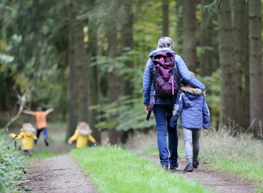 Exploring the Great Outdoors: Nature Walks and Hikes for Families