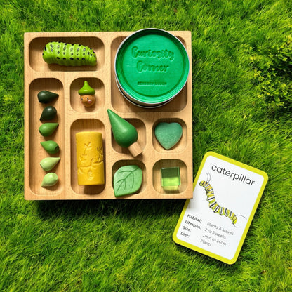 Discover Through Play ~ Mini Beasts Collection
