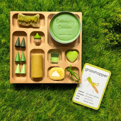 Discover Through Play ~ Mini Beasts Collection