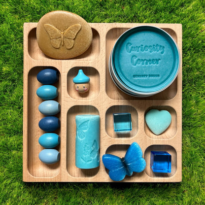 Discover Through Play ~ Mini Beasts Collection