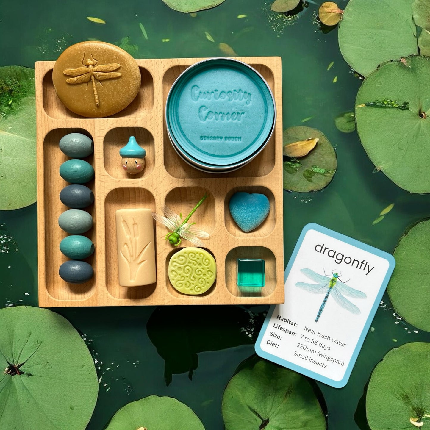Discover Through Play ~ Mini Beasts Collection