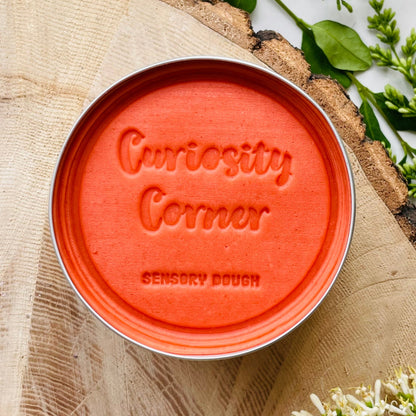 Curiosity Corner Handmade Sensory Play Dough