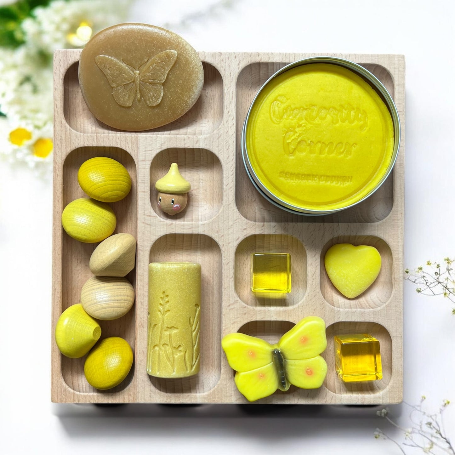Discover Through Play ~ Mini Beasts Collection