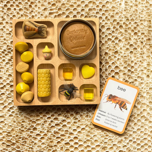 Discover Through Play ~ Mini Beasts Collection