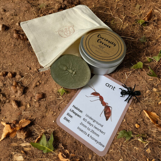 Cub & Bear’s Discovery Pouches - Minibeasts Collection