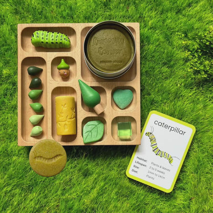 Discover Through Play ~ Mini Beasts Collection