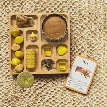 Discover Through Play ~ Mini Beasts Collection