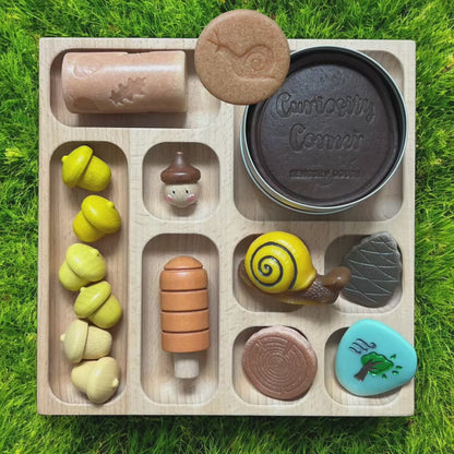 Discover Through Play ~ Mini Beasts Collection