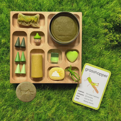 Discover Through Play ~ Mini Beasts Collection