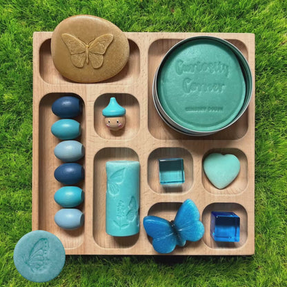 Discover Through Play ~ Mini Beasts Collection