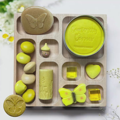 Discover Through Play ~ Mini Beasts Collection