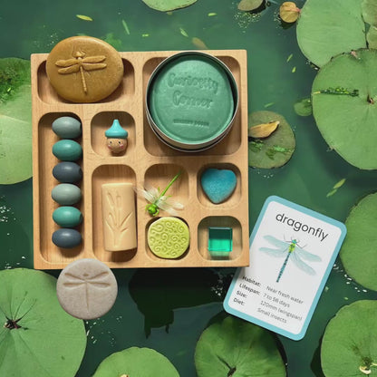 Discover Through Play ~ Mini Beasts Collection